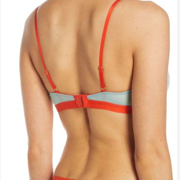 DORA LARSEN brand new with tags Bra 34C + bottom L - Picture 3 of 6